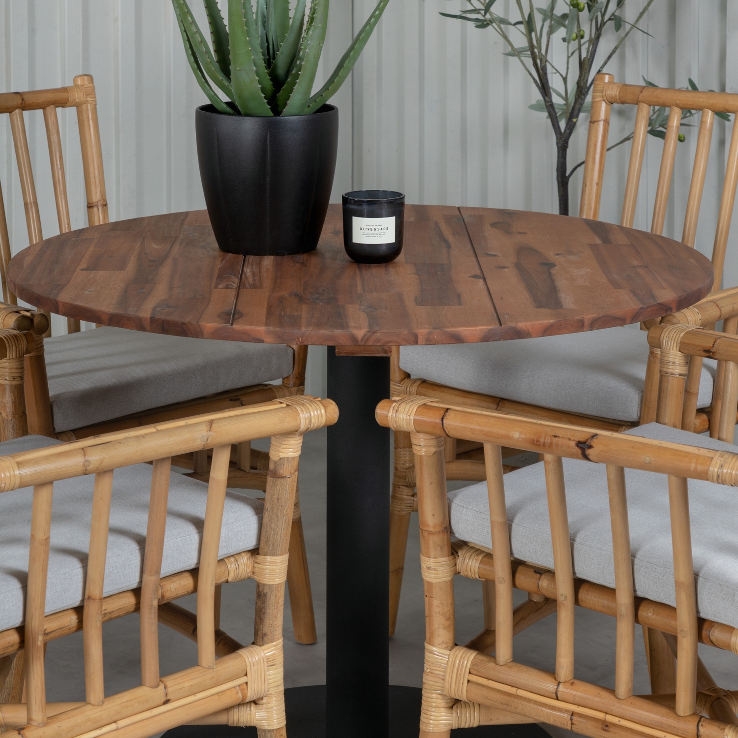 Matgrupp Venture Home Canne med 4 Cave Karmstolar