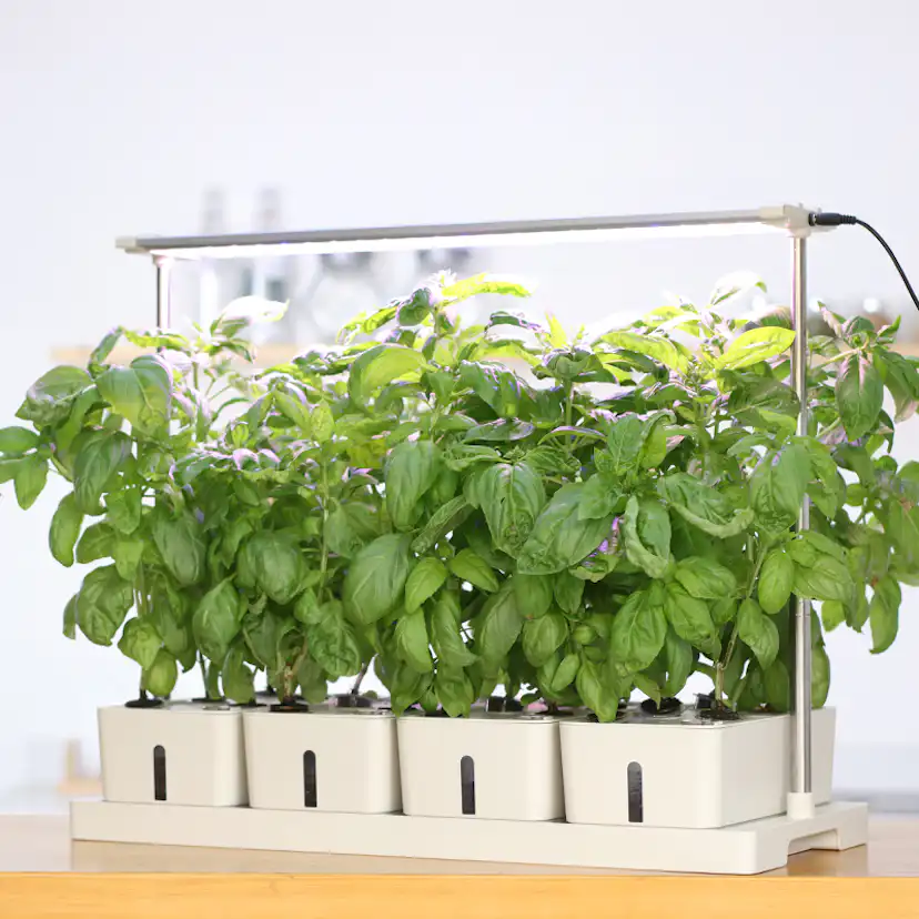 Hydroponisk Odling RobotGarden Odlingslådor Med Växtlampa & Startkit för Hemmaodling