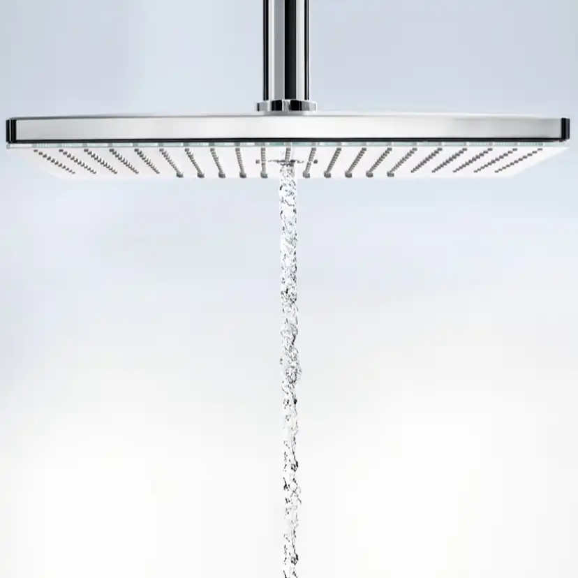 HG Rainmaker Sel.460 2jet huvuddusch Utan EcoSmart