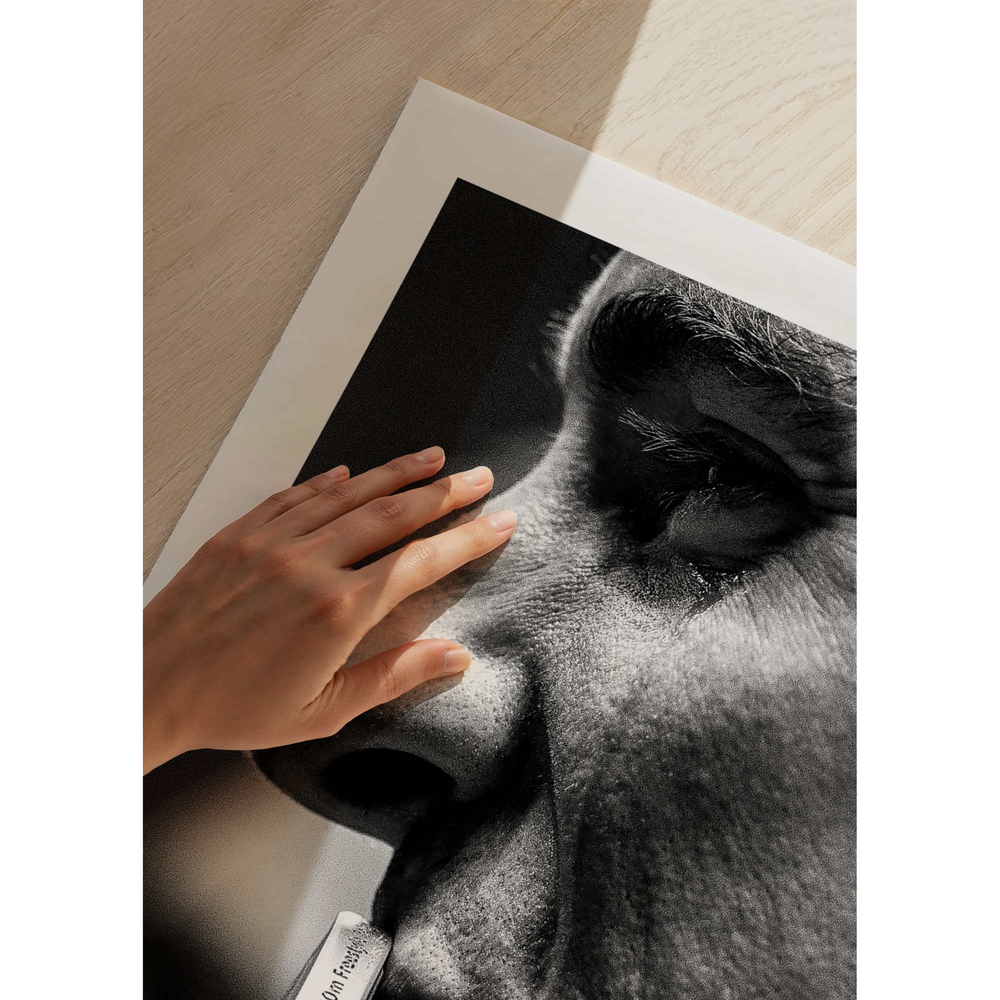 Poster Gallerix Michael Phelps Gold 2016