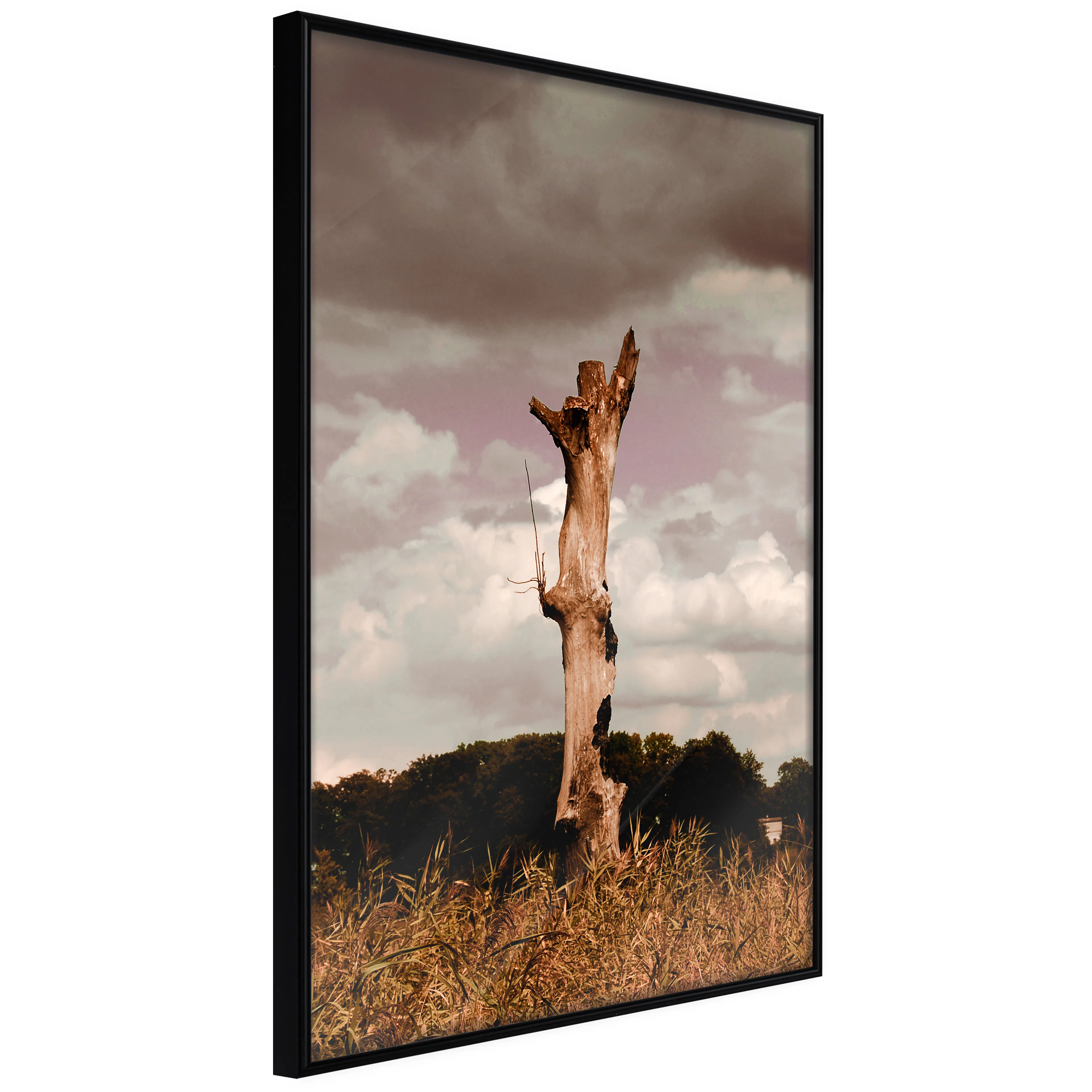 Affisch - Memory of Heaven [Poster] 30x45 Svart ram, 30x45 cm