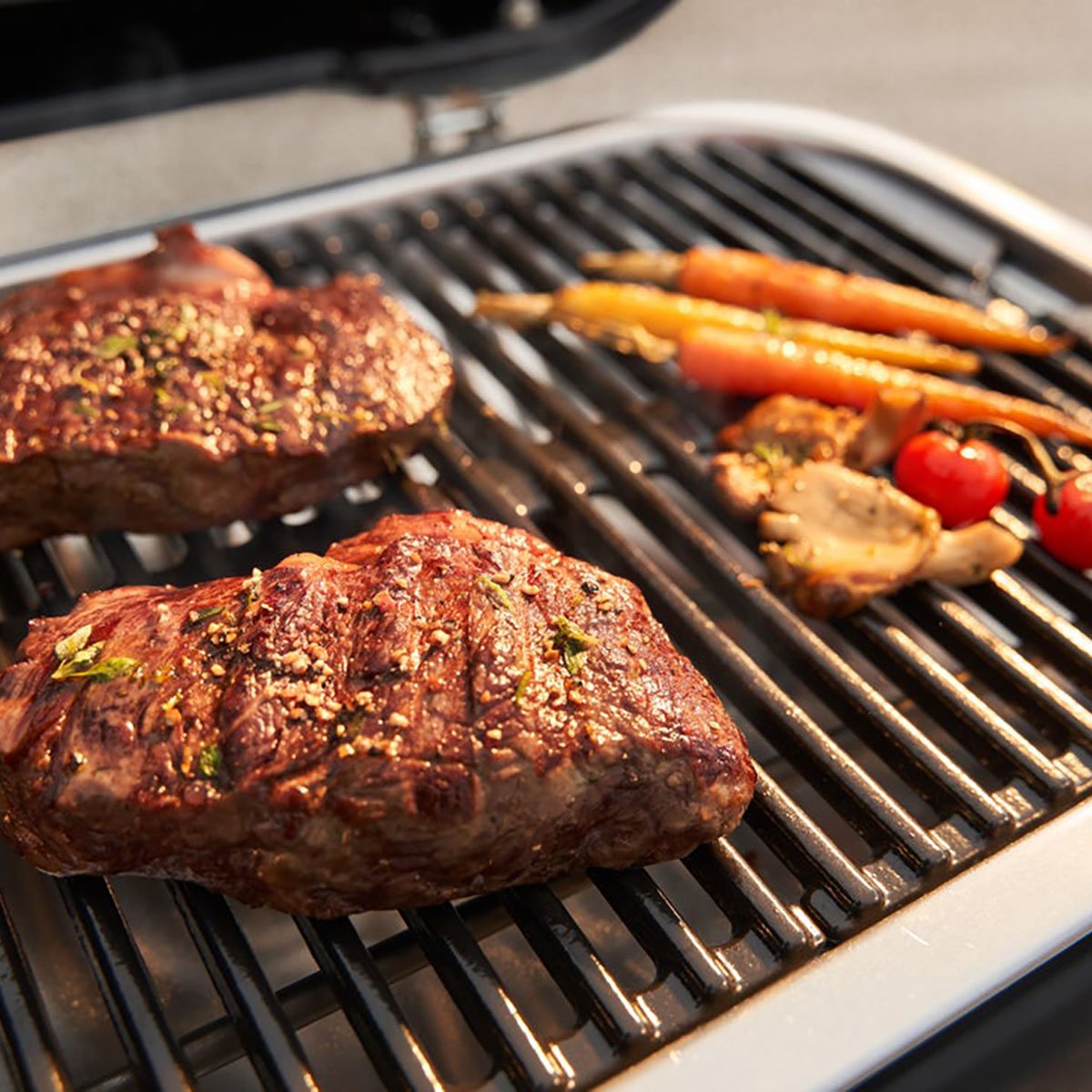 Elgrill Weber Lumin med ställning