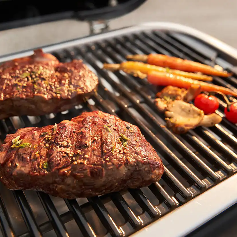 Elgrill Weber Lumin med ställning