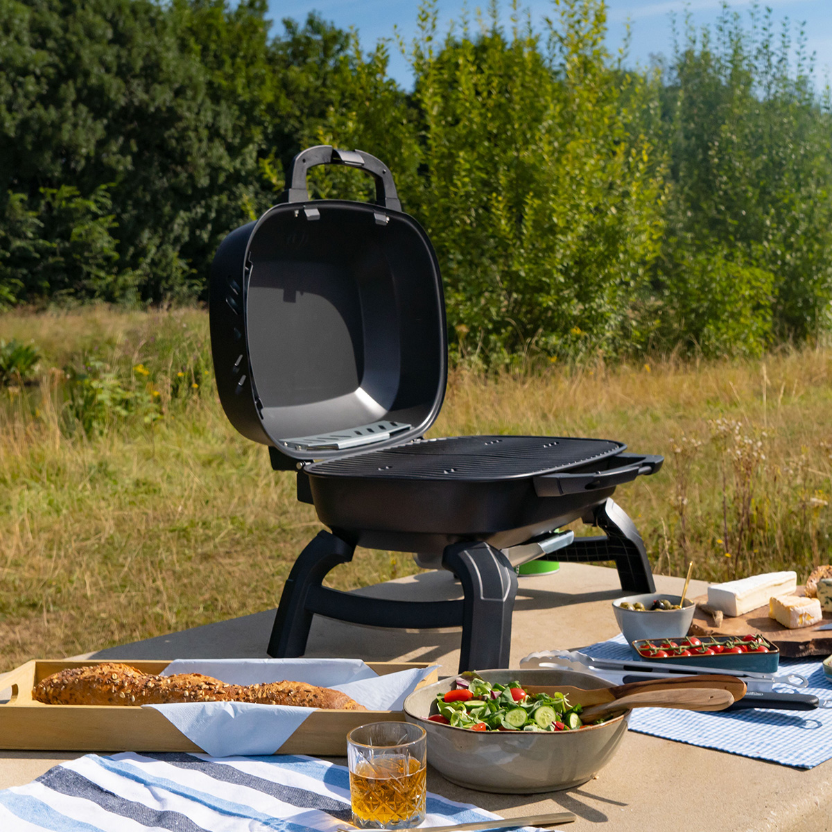 Gasolgrill Napoleon TQ240-1