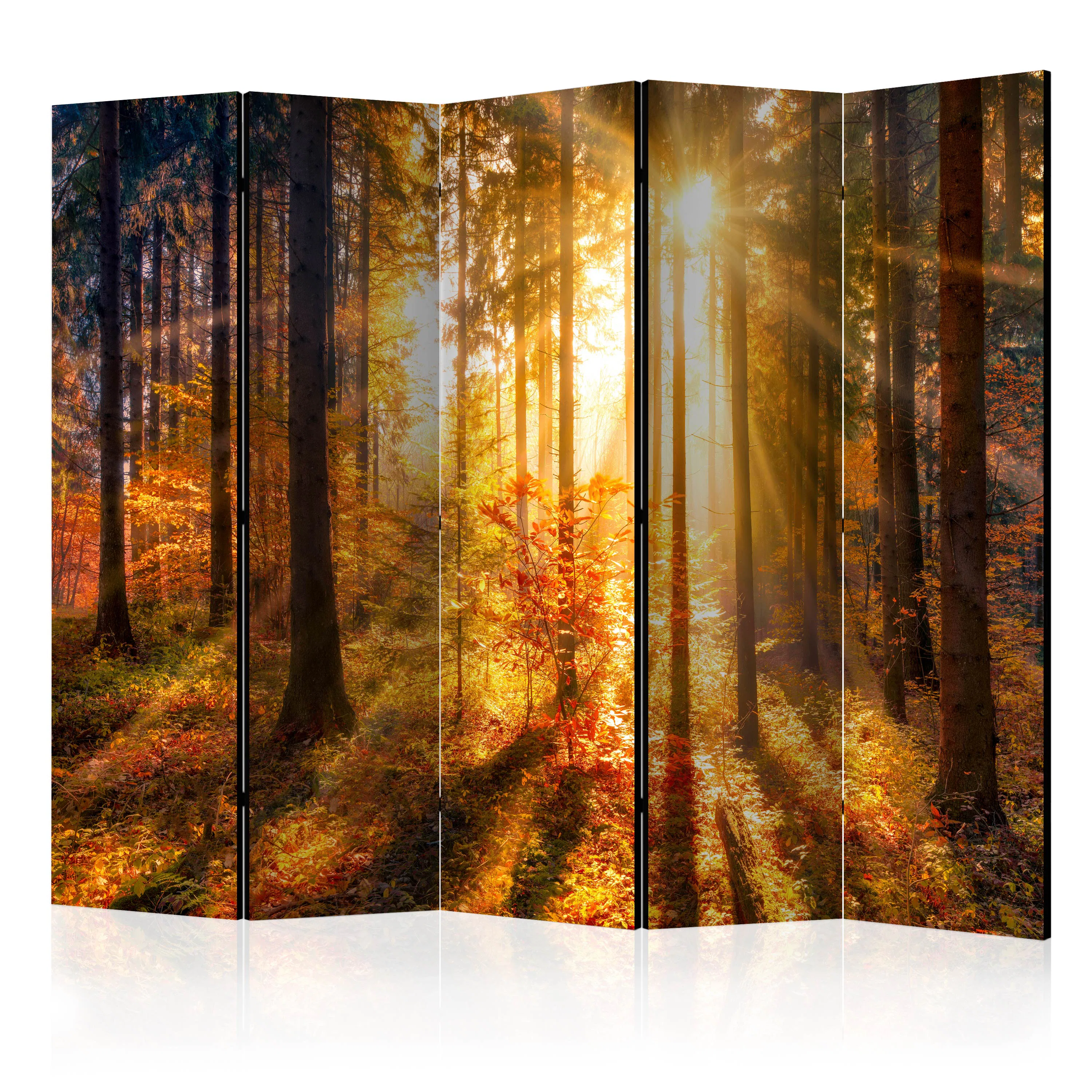 Rumsavdelare Skärmvägg Arkiio Autumn Awakening II 225x172 cm