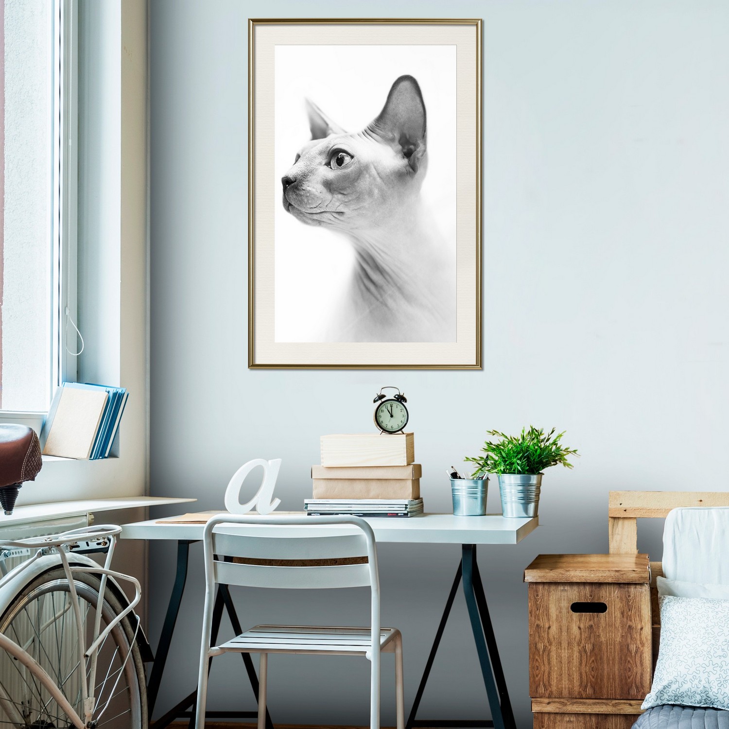 Poster Artgeist Affisch Hairless Cat