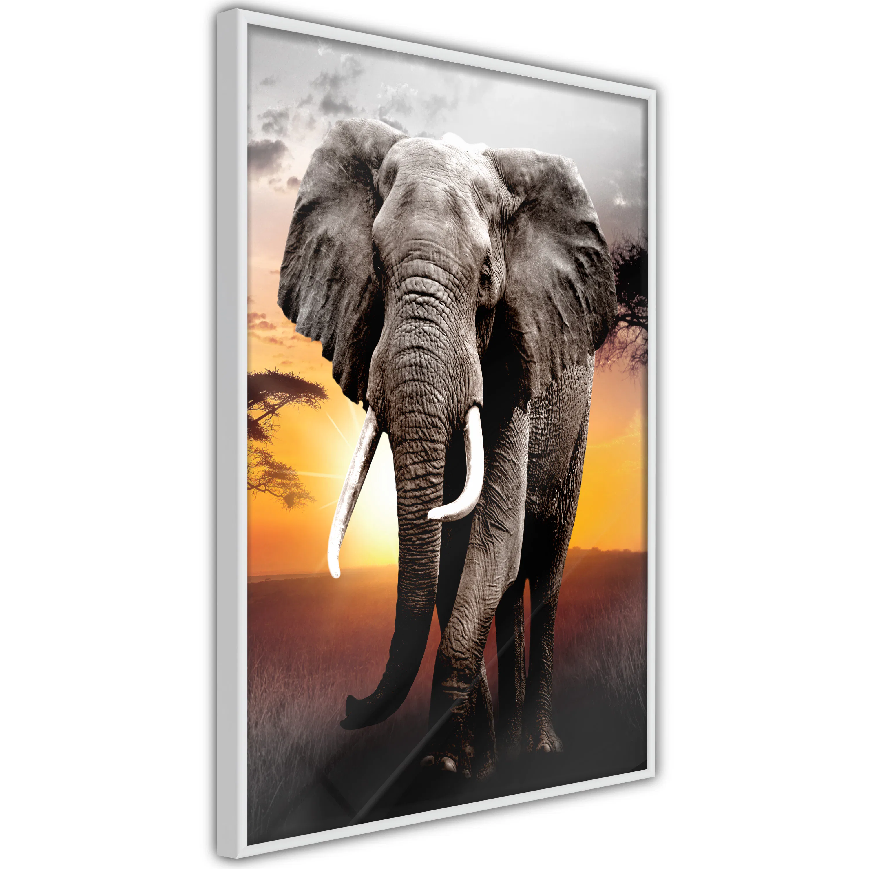 Poster Artgeist Affisch Warm Savanna