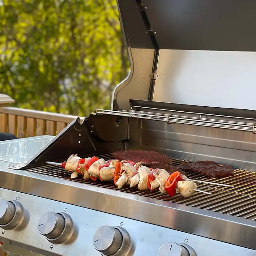 Gasolgrill Bluegaz Z501