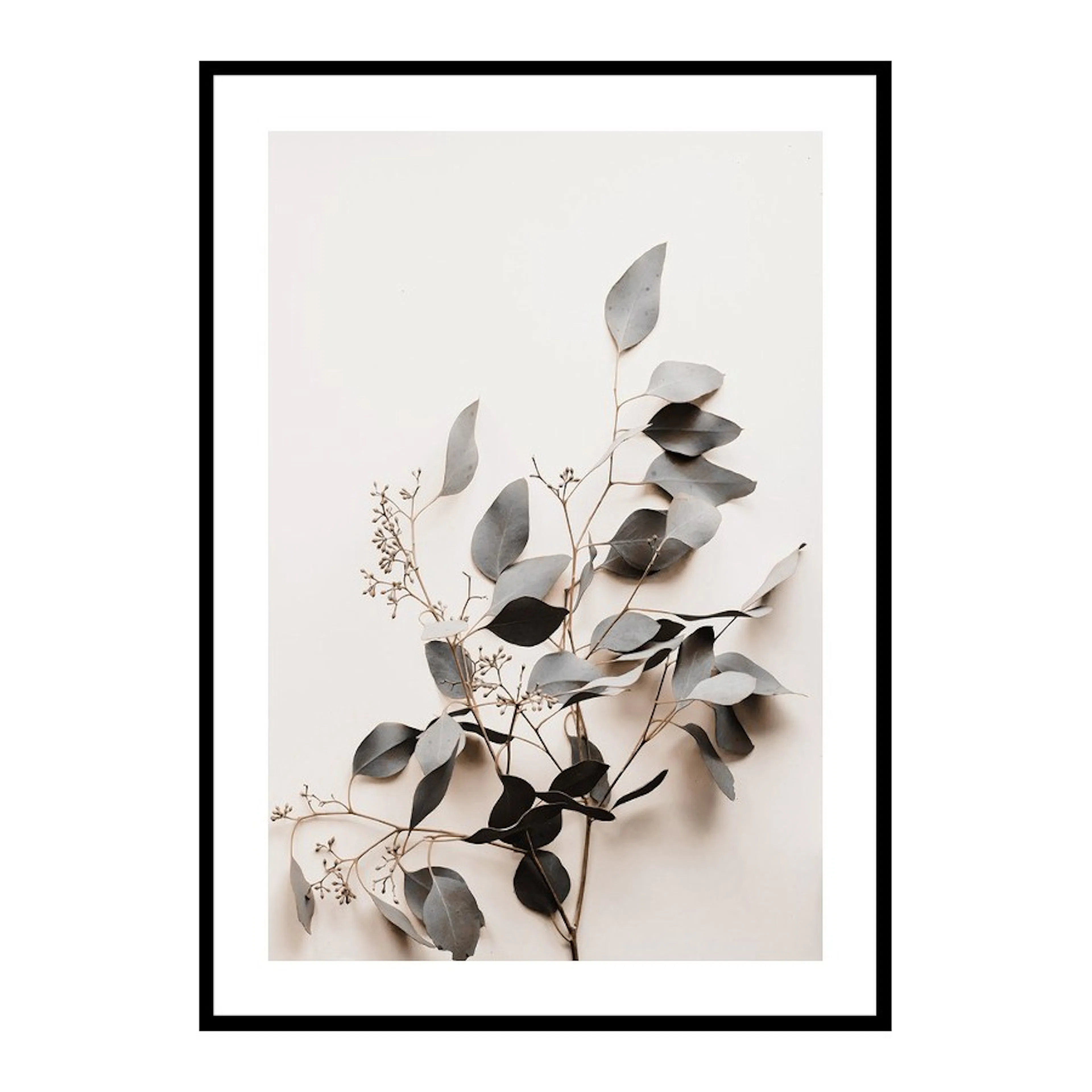 Poster Gallerix Botanical Branch