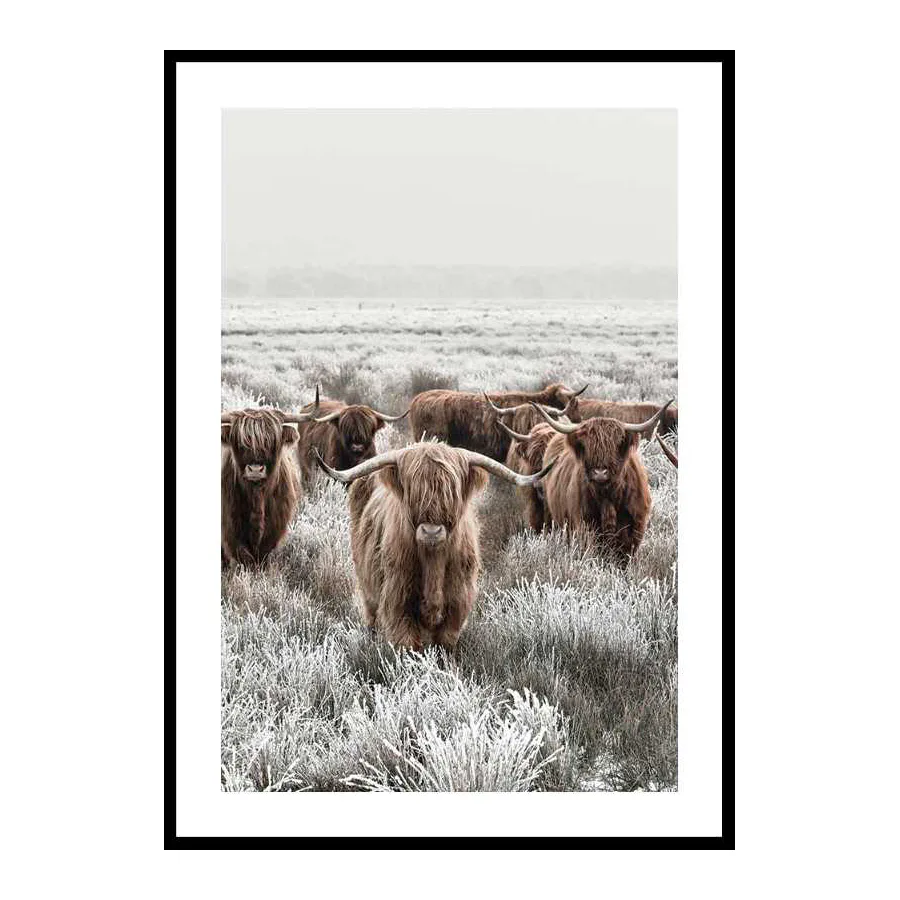 Poster Gallerix Scottish Highlanders