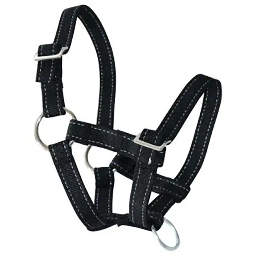Grimma Ryom Bagge