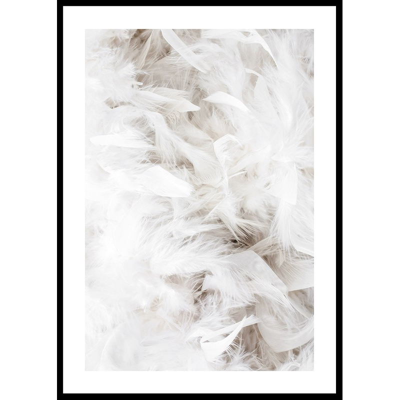 White Feathers 30x40 30x40 cm