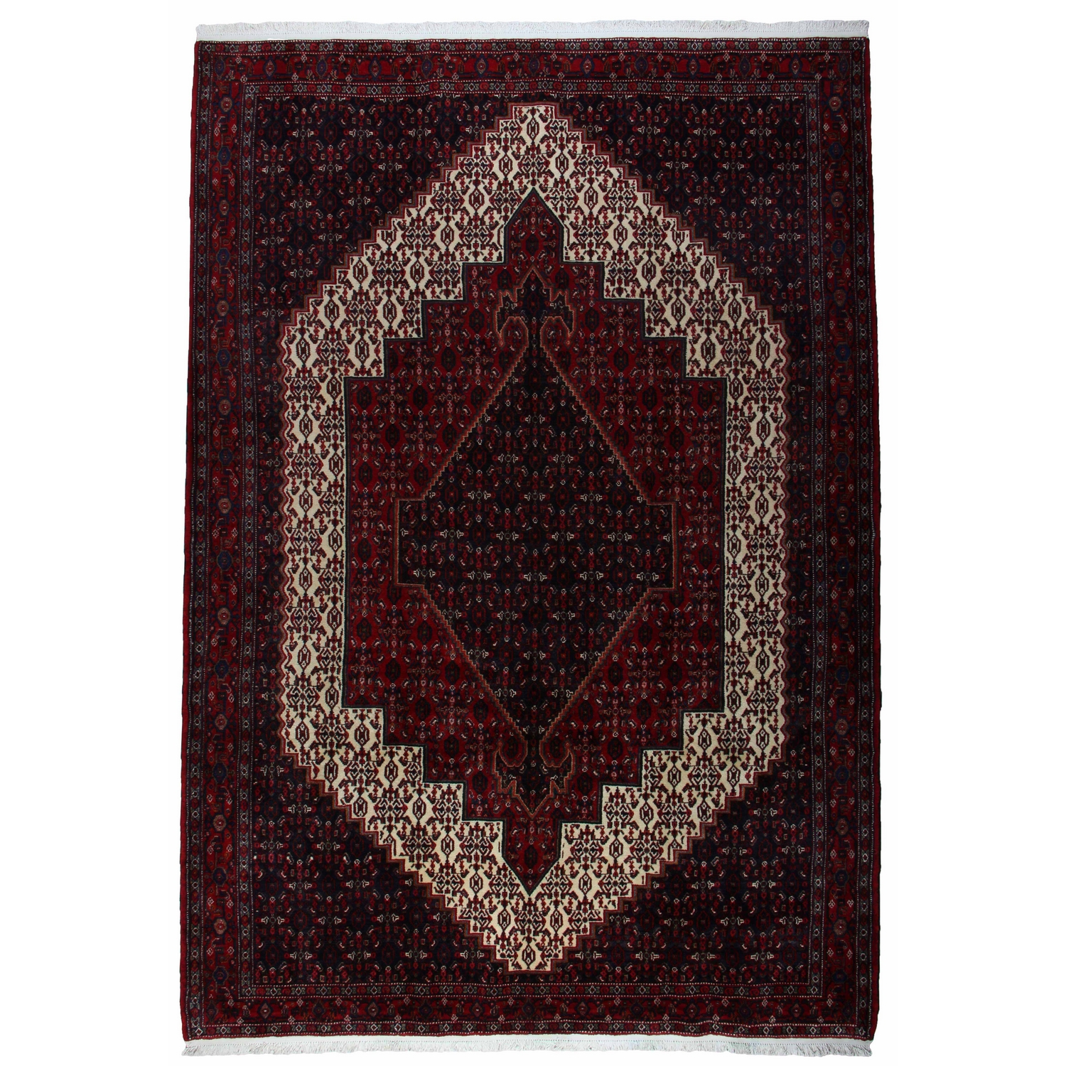 Persisk Enkelvävd Matta Arkiio Senneh Exklusiv 212x312