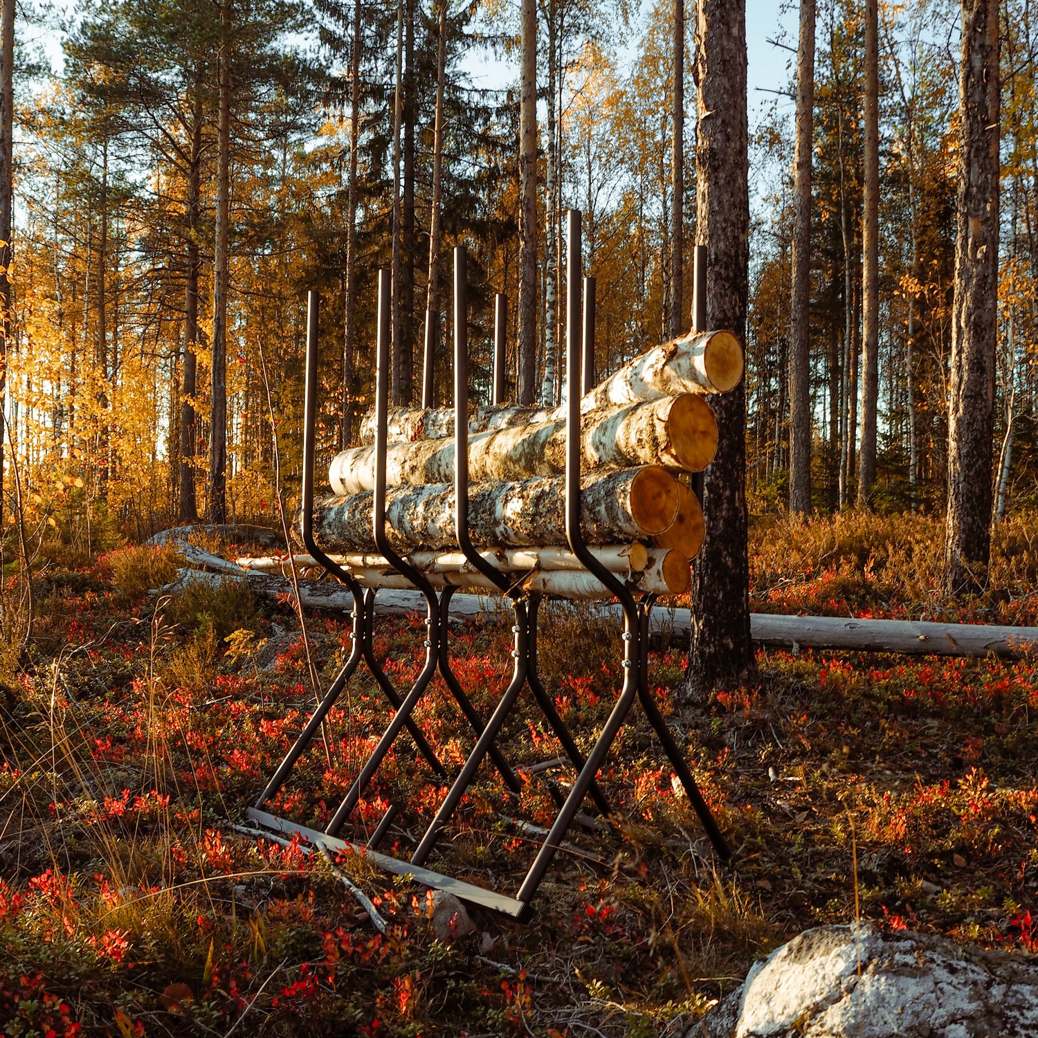 Sågbock Varax