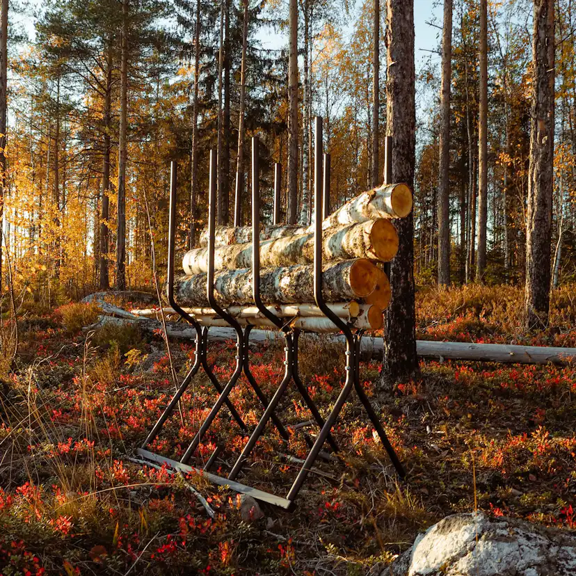 Sågbock Varax