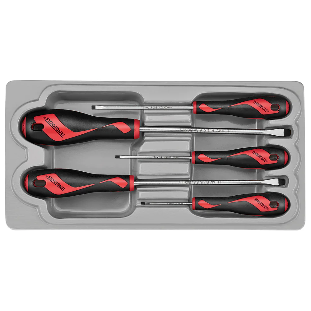 Skruvmejselsats Teng Tools MD906N5 5-delar