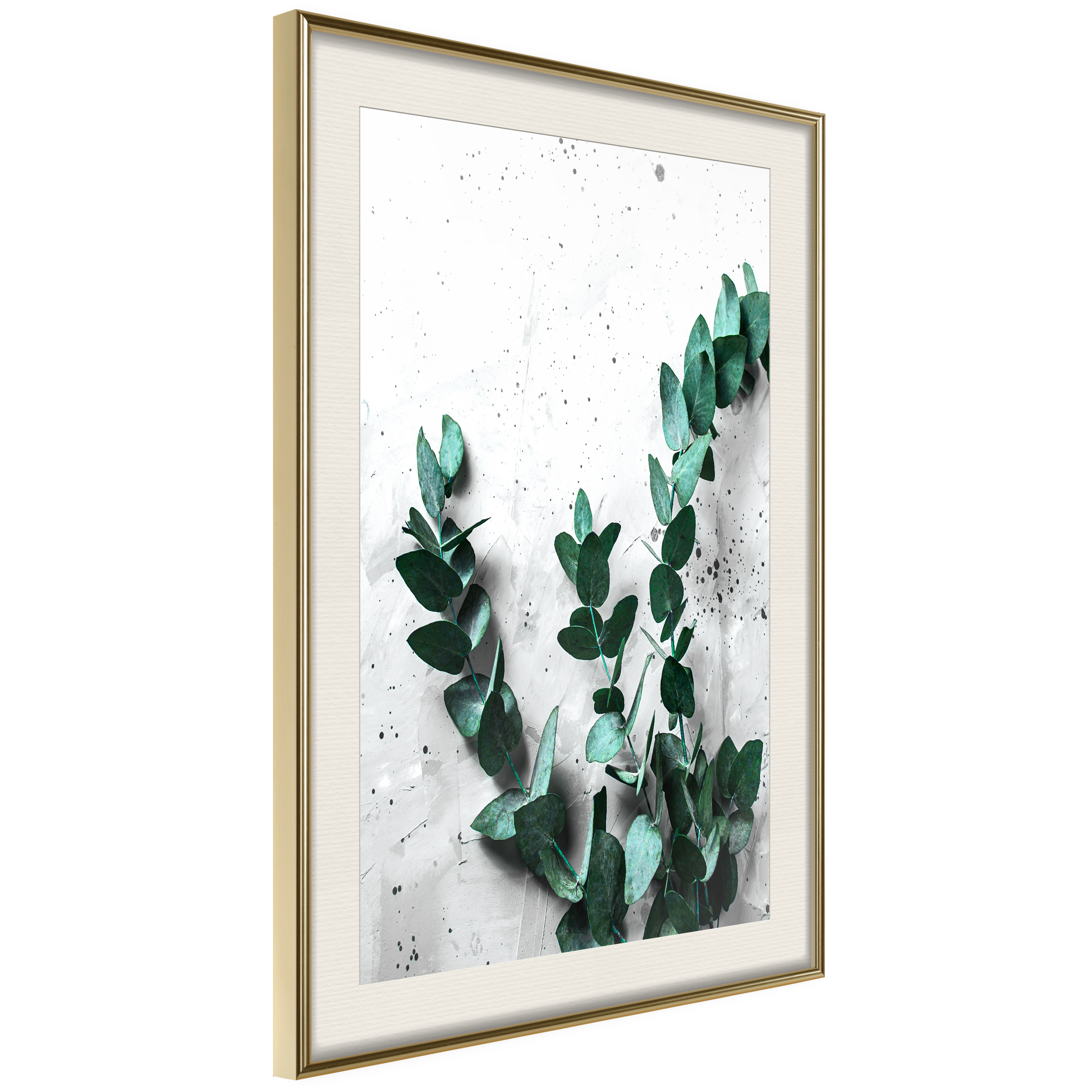 Affisch - Eucalyptus Scent [Poster] 20x30 Guld ram med passepartout, 20x30 cm