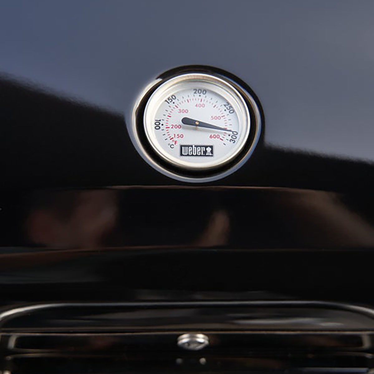 Elgrill Weber Lumin Compact