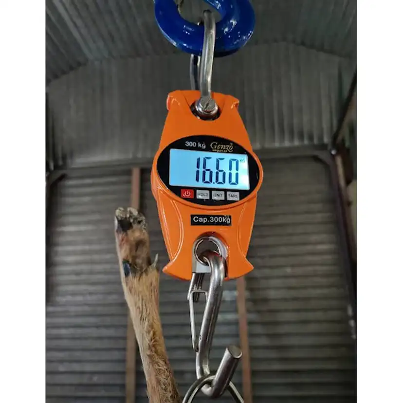 Hängvåg Genzo Digital 300 kg