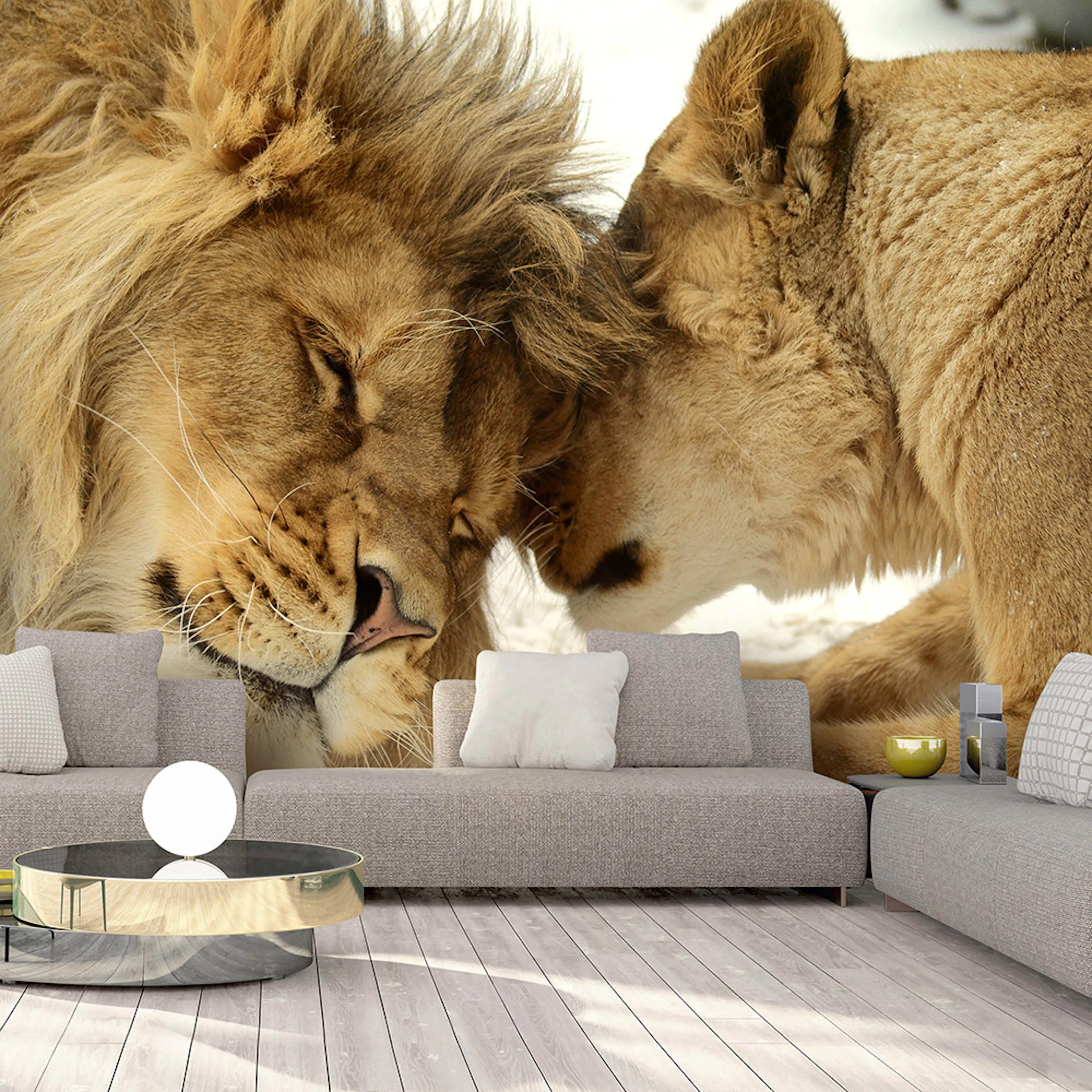 Fototapet Arkiio Lion Tenderness Självhäftande