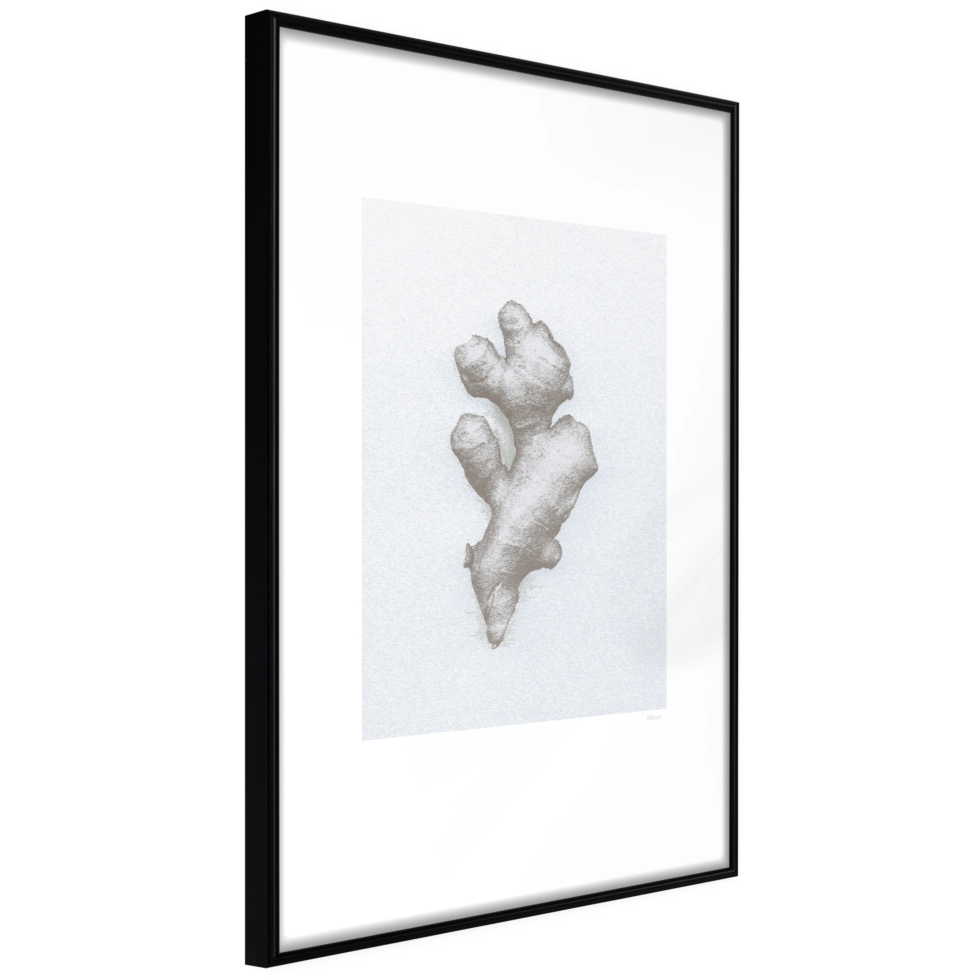 Affisch - Ginger [Poster] 20x30 Svart ram, 20x30 cm