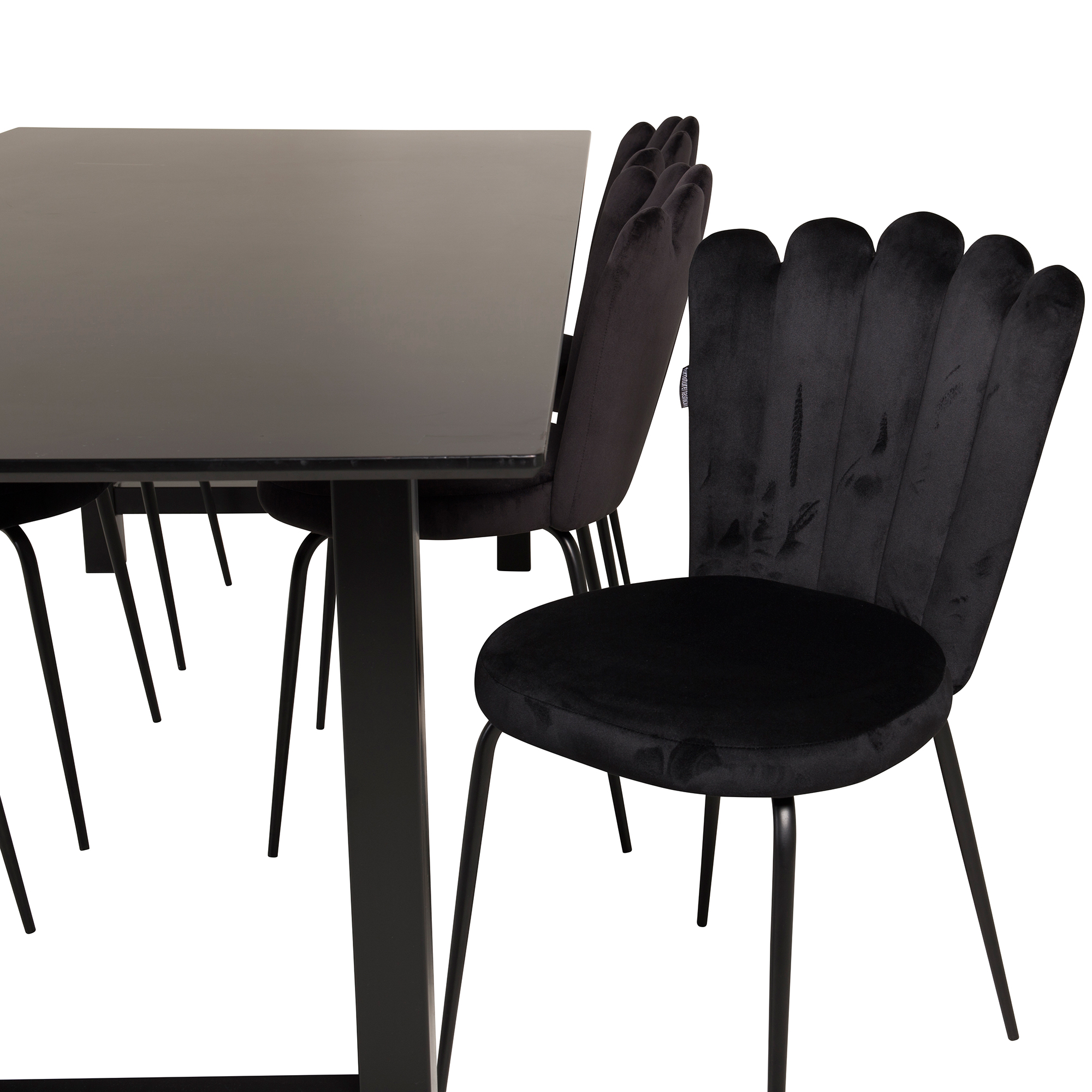 Matgrupp furniture/fashion Clara med 6 Limhamn Light Stolar