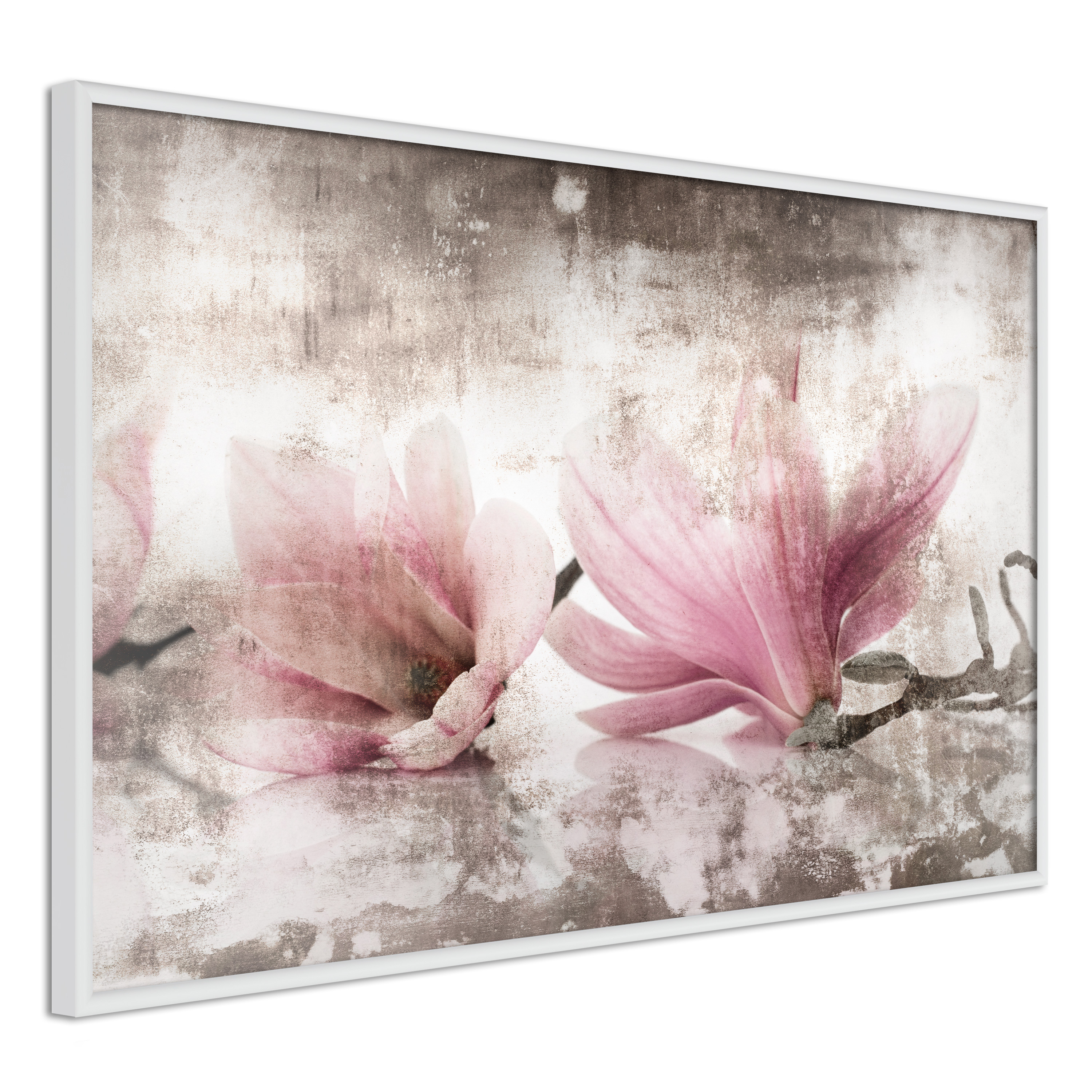 Poster Artgeist Affisch Magnolia Memory