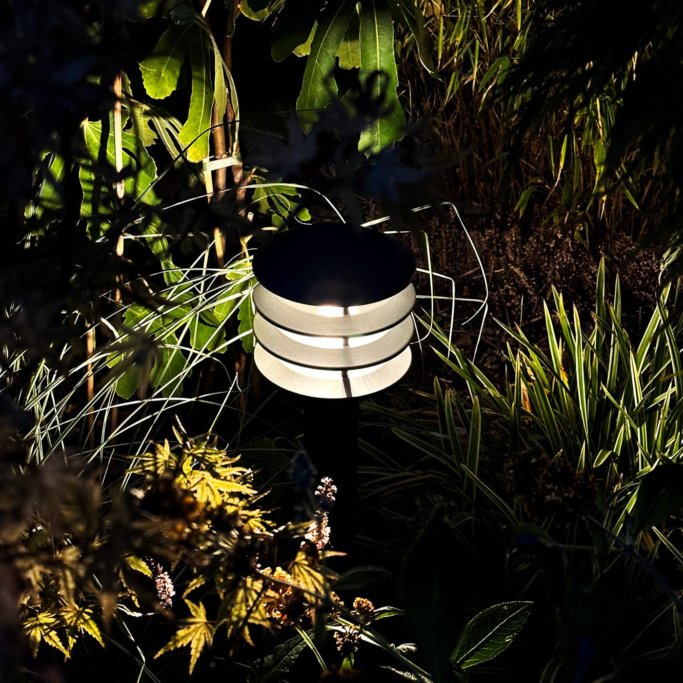 Pollare LightsOn Jupiter
