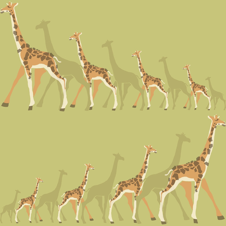 Tapet York Wallcoverings Dwell Studio Baby & Kids DW2364