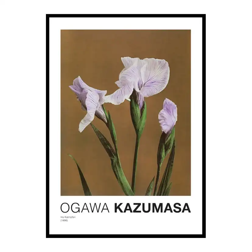 Poster Gallerix Iris Kæmpferi By Kazumasa Ogawa