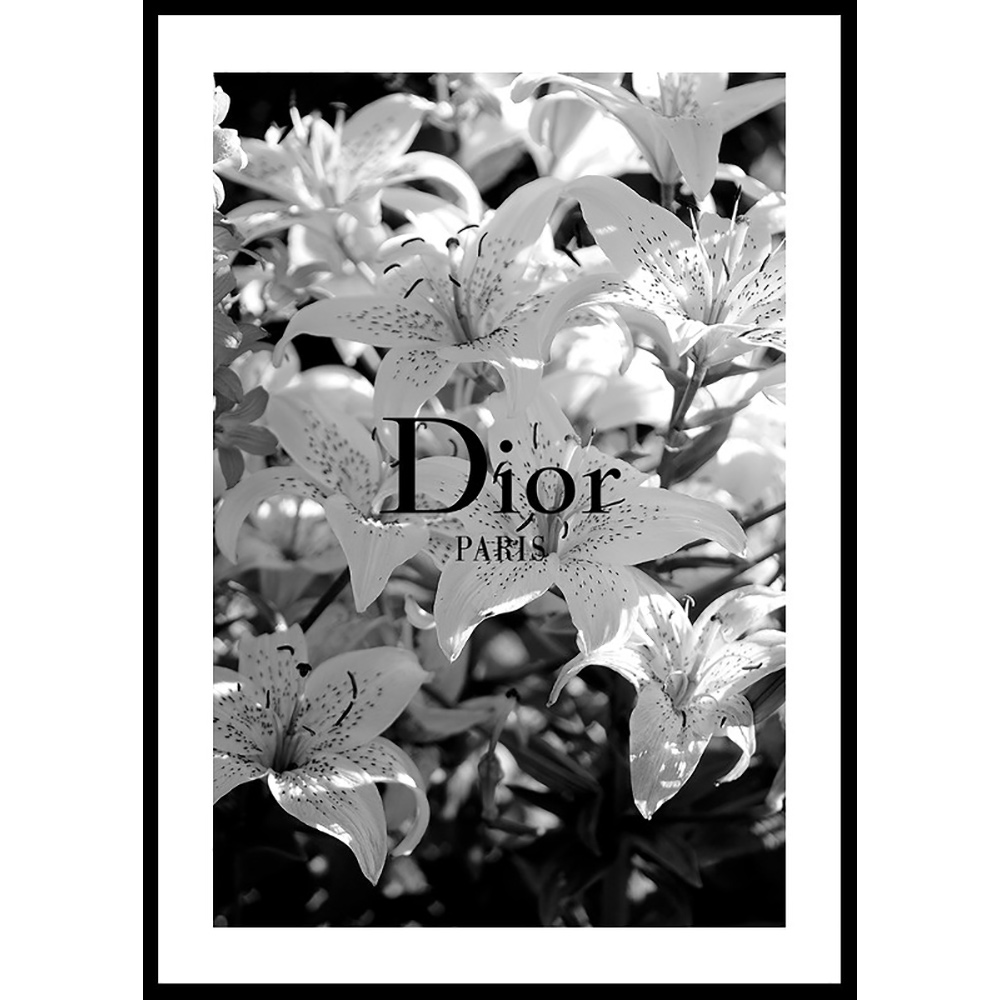 Poster Gallerix Dior Paris