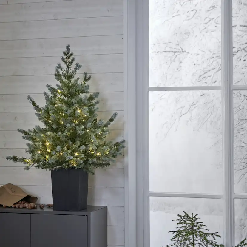 Bordsdekoration Star Trading GranGreyland95 cm 80Lb