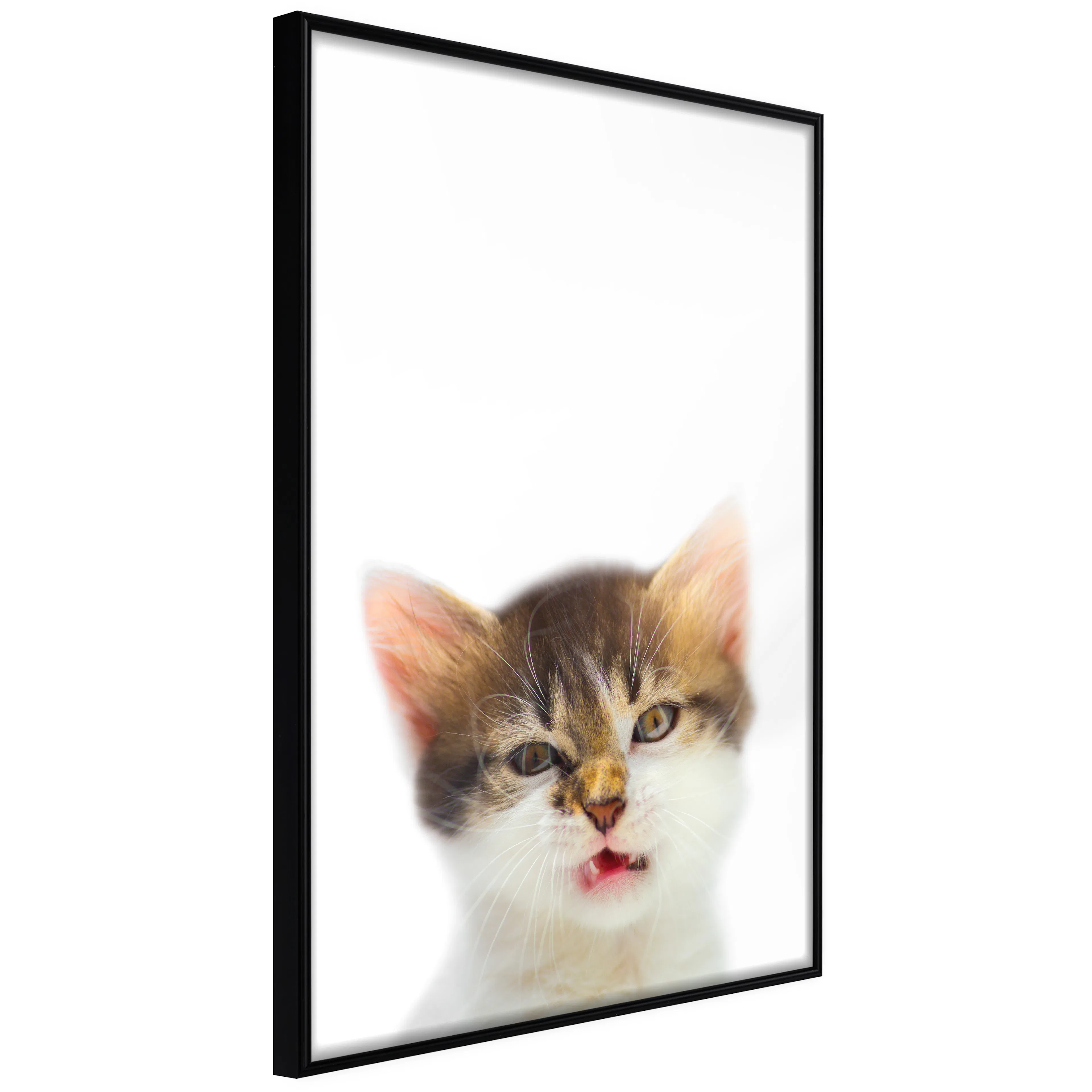 Affisch - Vexed Cat [Poster] 20x30 Svart ram, 20x30 cm