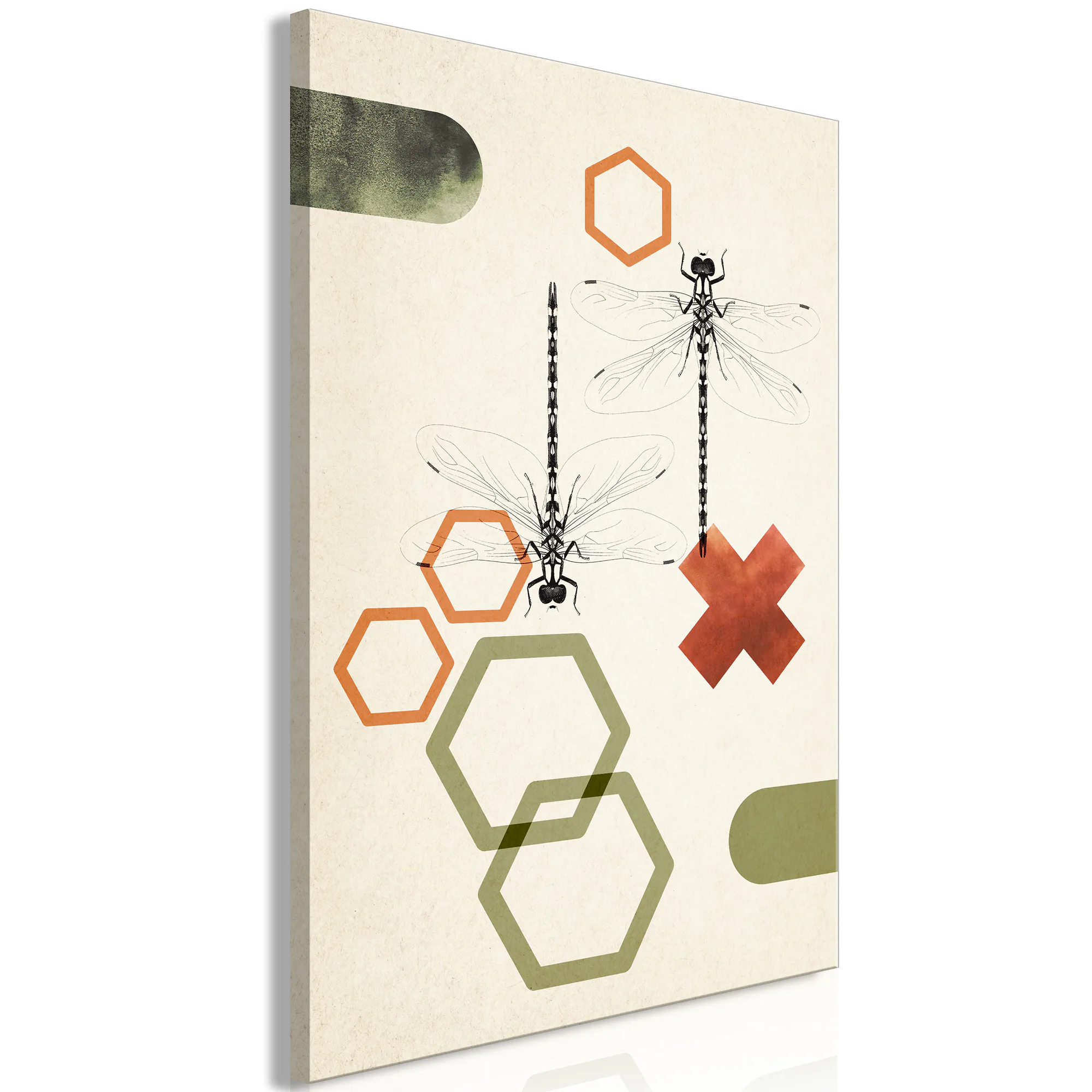 Tavla Arkiio Dragonflies and Geometry