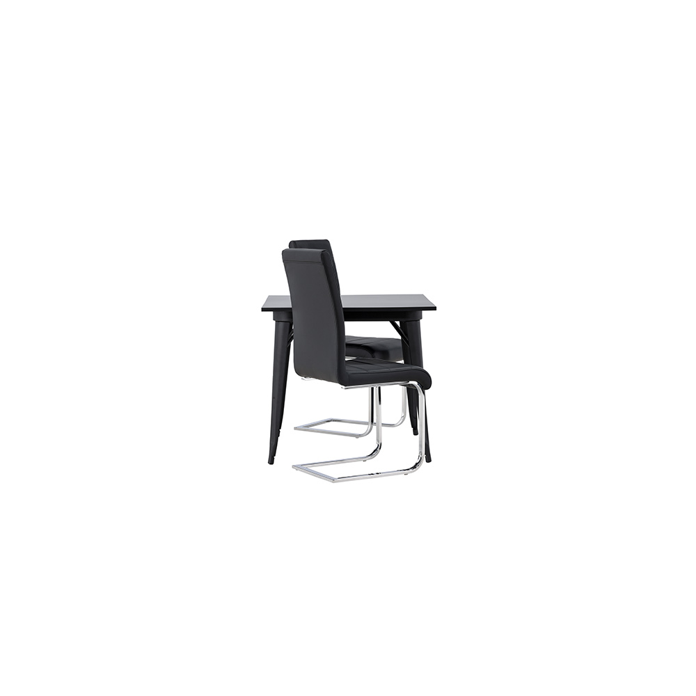 Matgrupp Venture Home Tempe med 2 st Tempo stolar
