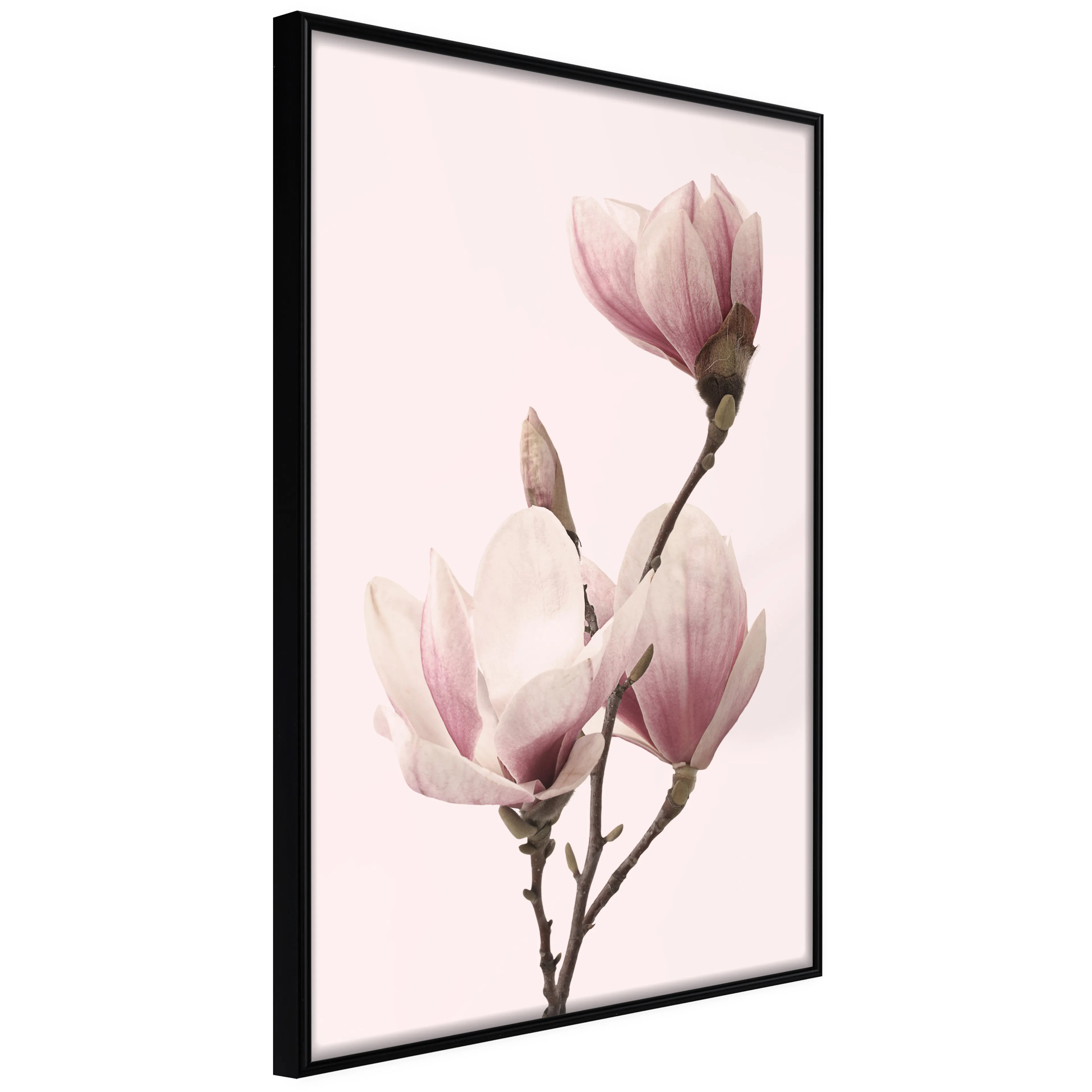 Affisch - Seasonal Flowers [Poster] 20x30 Svart ram, 20x30 cm