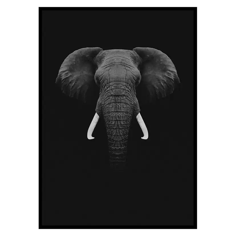 Poster Gallerix Black Elephant