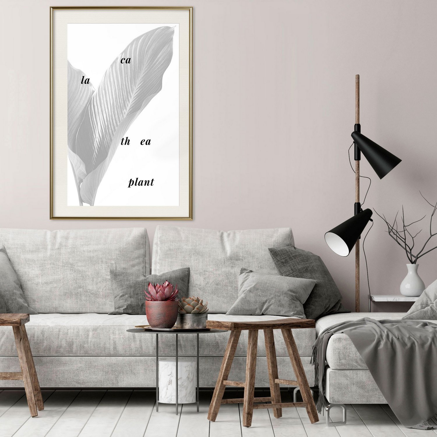 Affisch - Calathea Plant [Poster] 30x45 Guld ram med passepartout, 30x45 cm