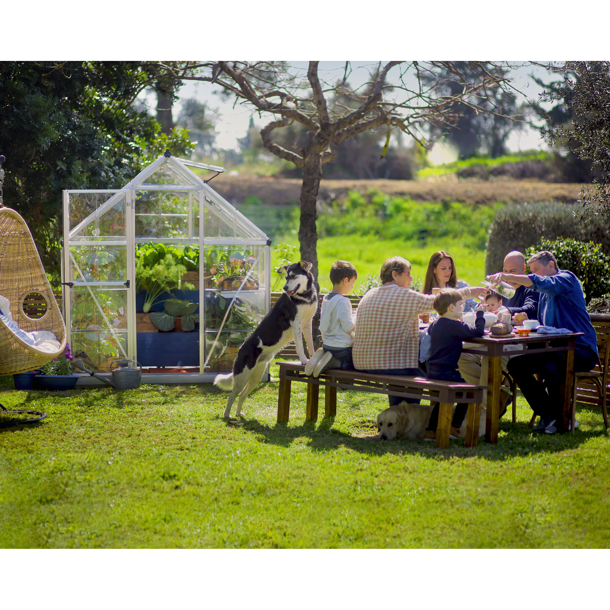 Växthus Canopia by Palram Visby  4,6 m²