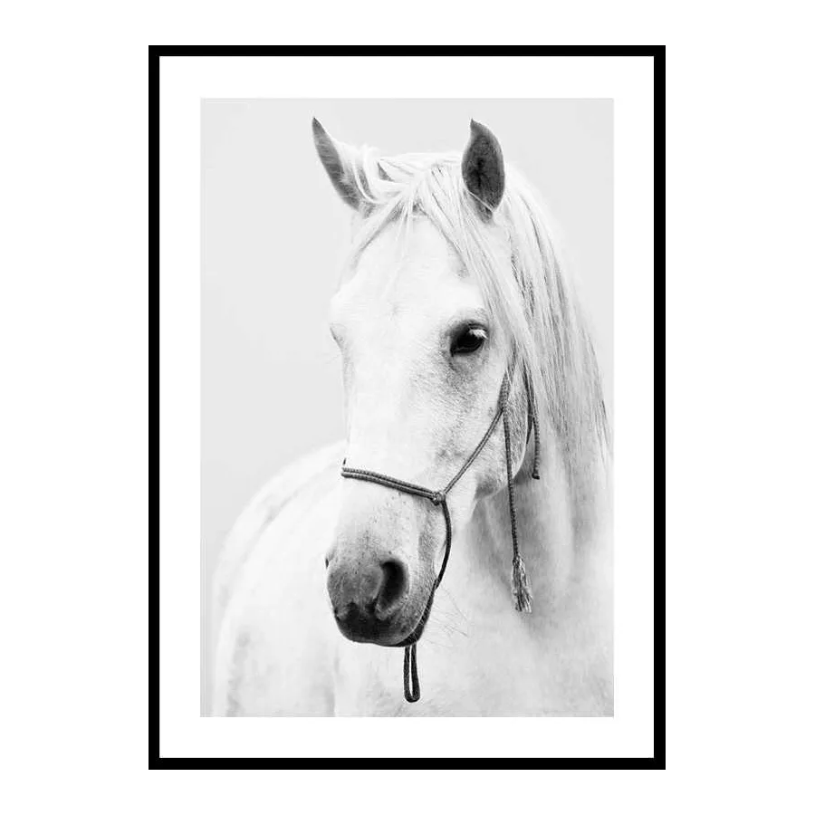 Poster Gallerix Shadowfax