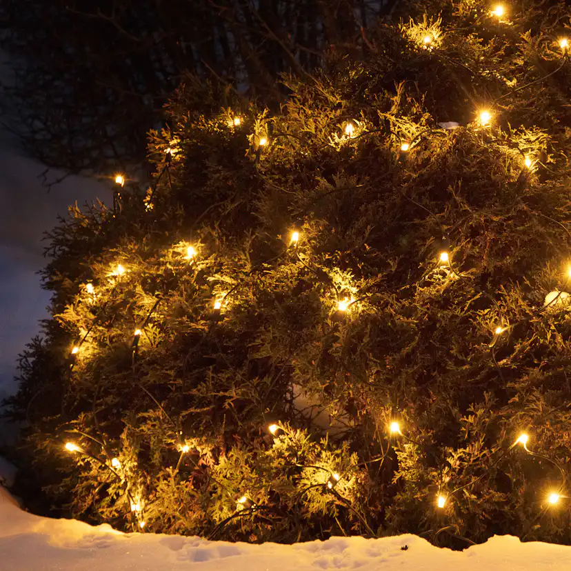 Ljusnät Markslöjd Chrissline