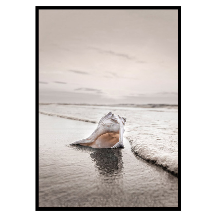 Poster Gallerix Shell On Beach