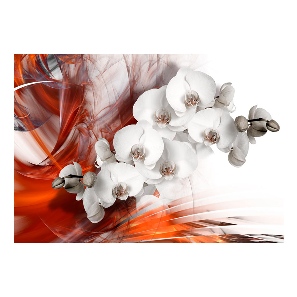 Fototapet Arkiio Orchid On Fire II