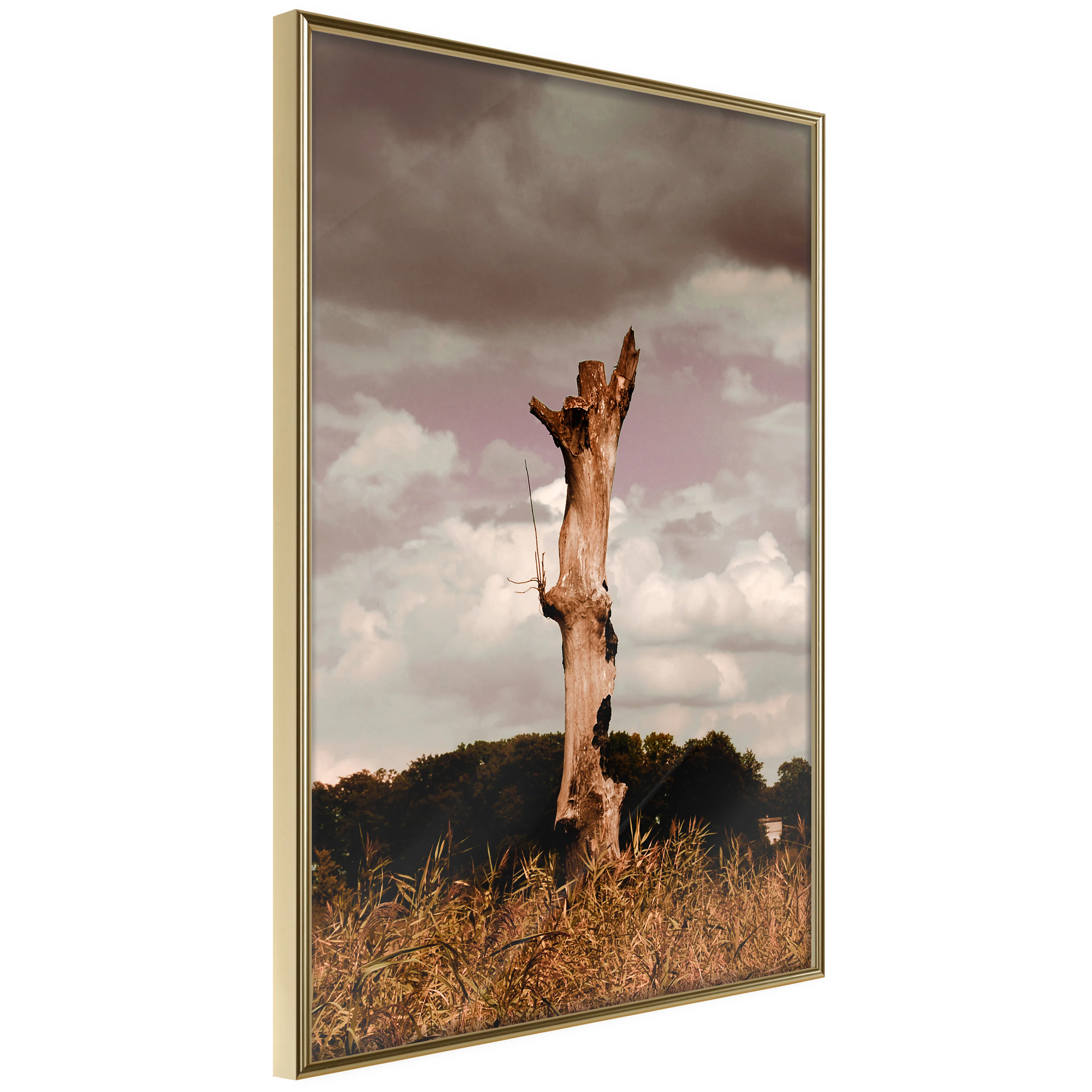 Affisch - Memory of Heaven [Poster] 40x60 Guld ram, 40x60 cm