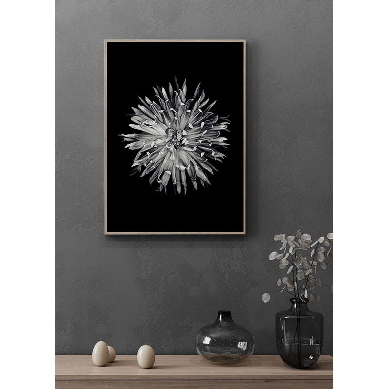 Poster Gallerix Dahlia BW