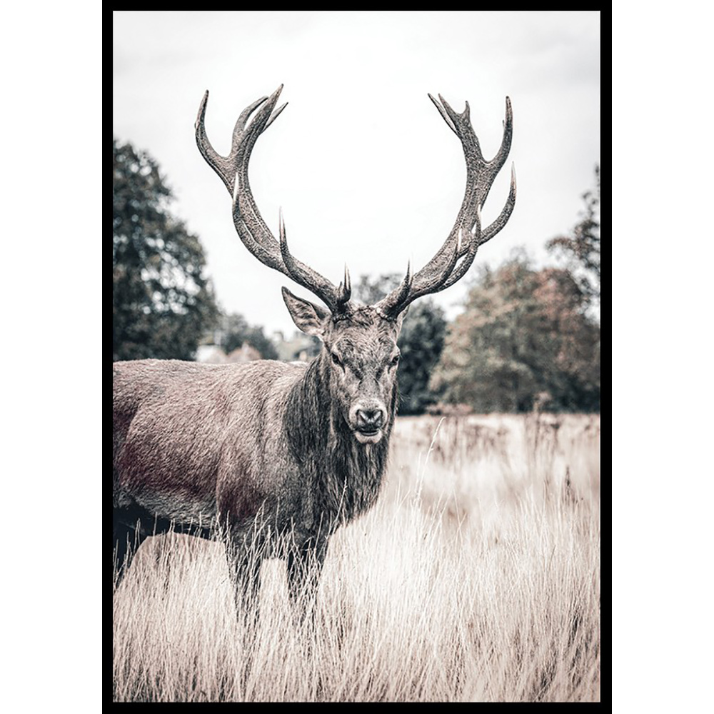 Poster Gallerix Wild Stag