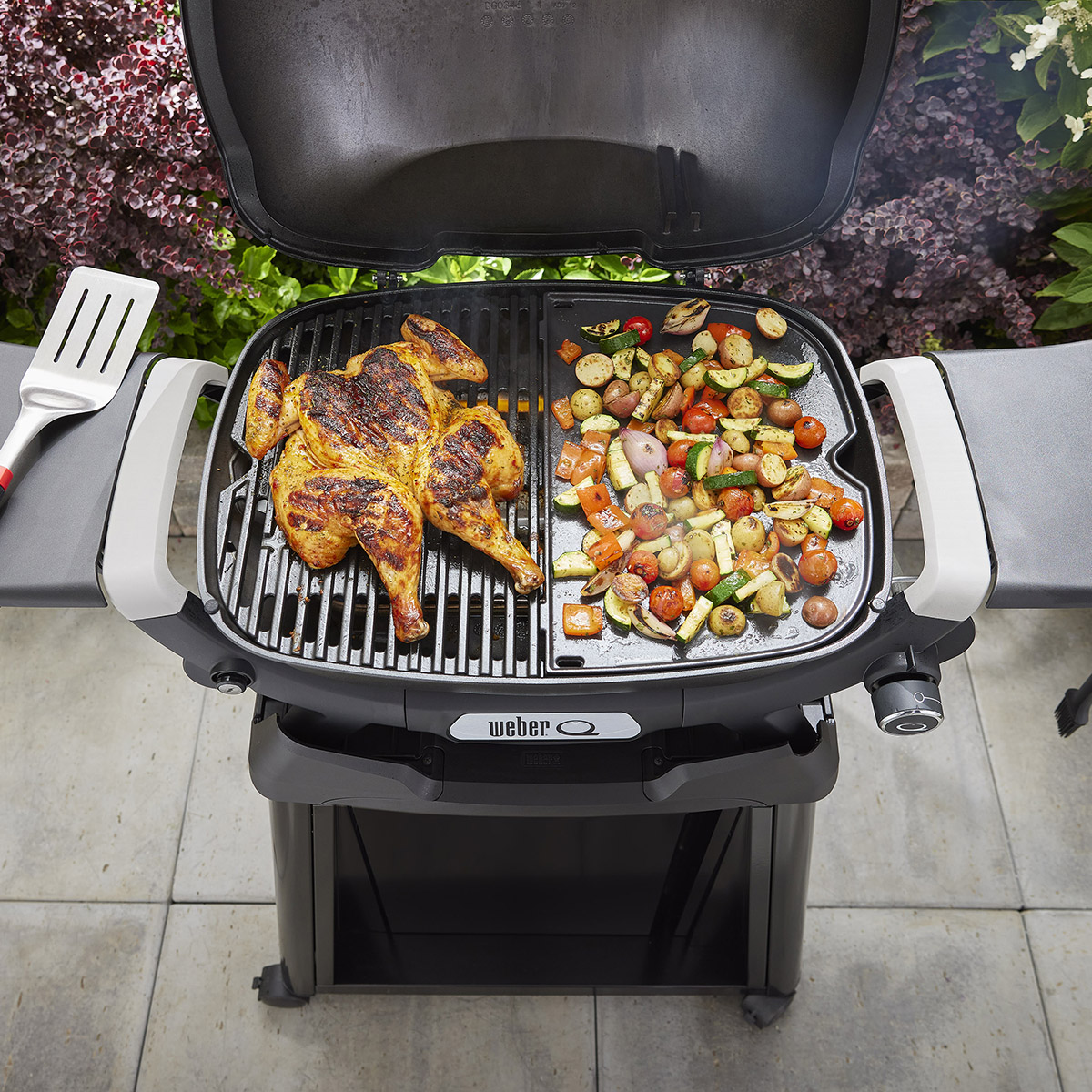Stekbord Weber Q1XXXn