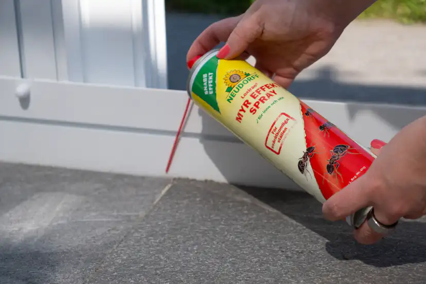 Insektsspray Neudorff Myr Effekt 300 ml Myrmedel