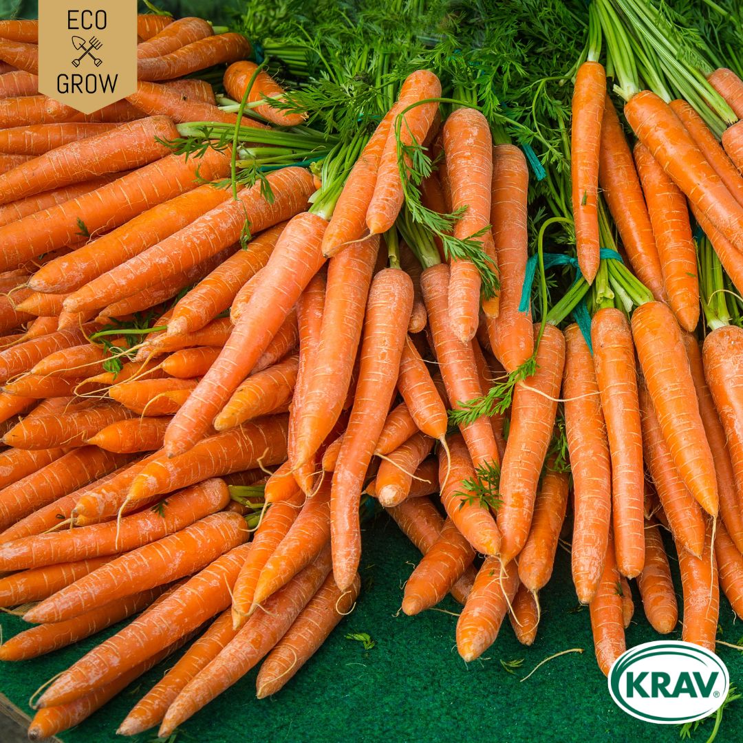 Fröpåse Eco Grow Sommarmorot Nantaise 2