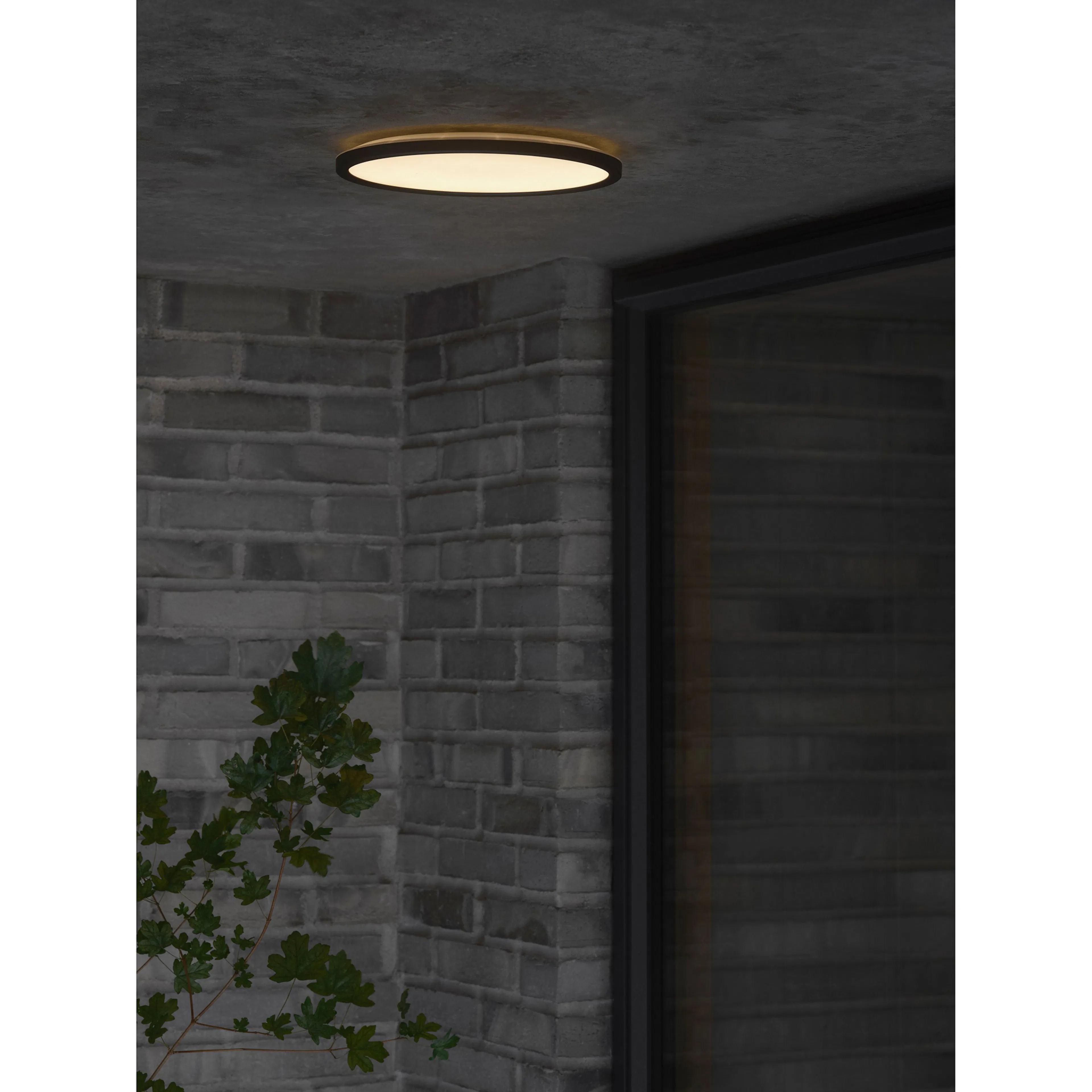 Plafond Nordlux Oja 29 Utebelysning IP54